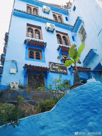 摩洛哥舍夫沙万