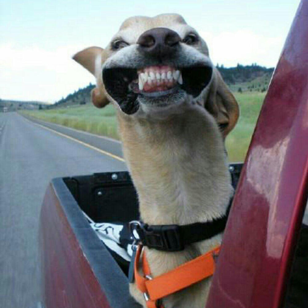 网易云ID：善着