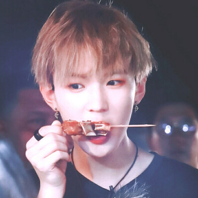 李希侃Ⅹ小狐狸