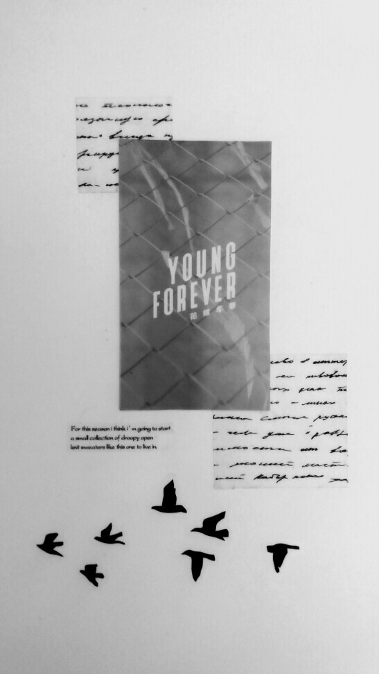 48· 极简系列「young forever」