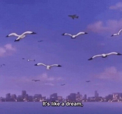 紫色壁纸