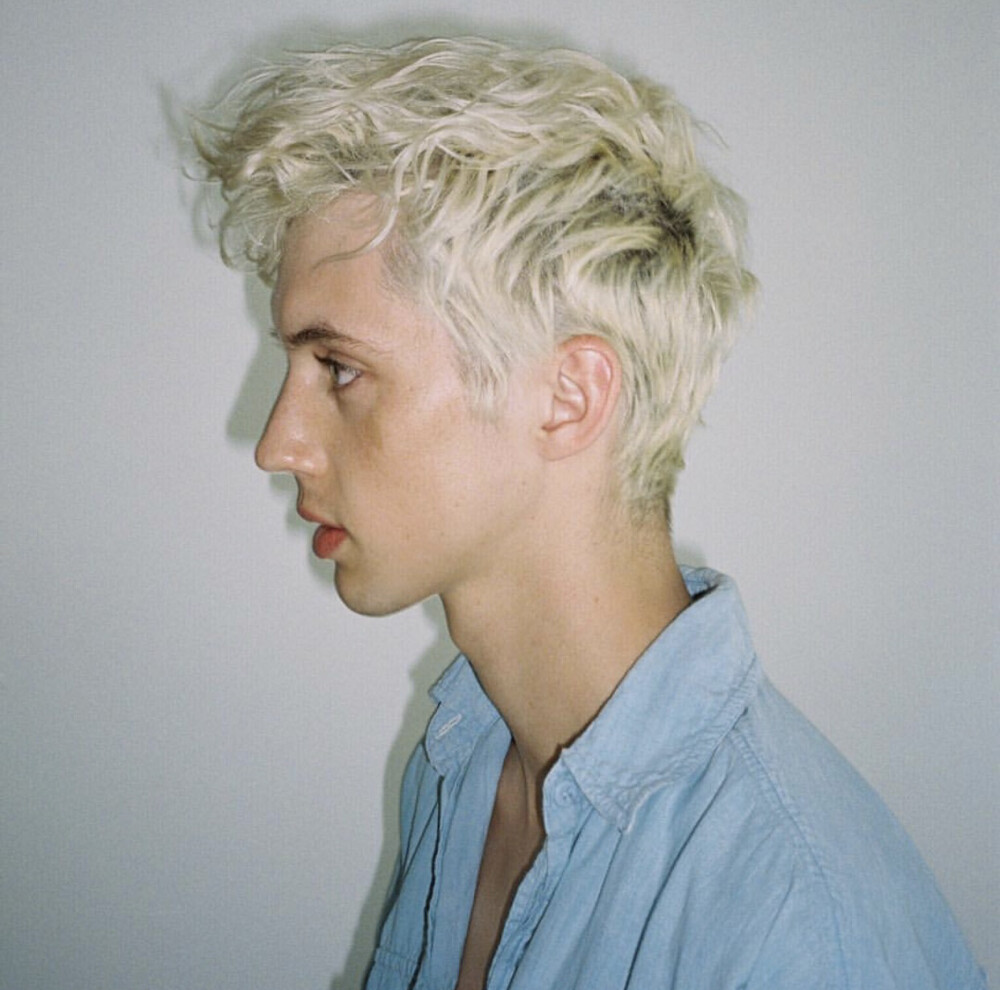 Troye Sivan 特洛伊希文 戳爷