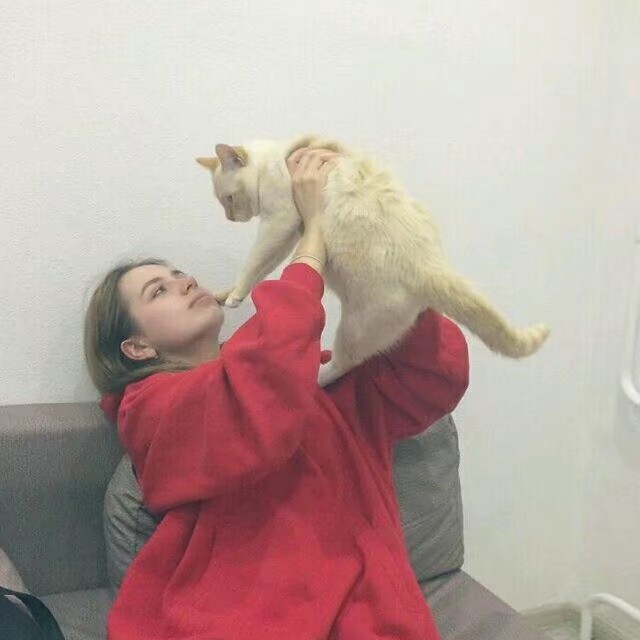 抱猫女头