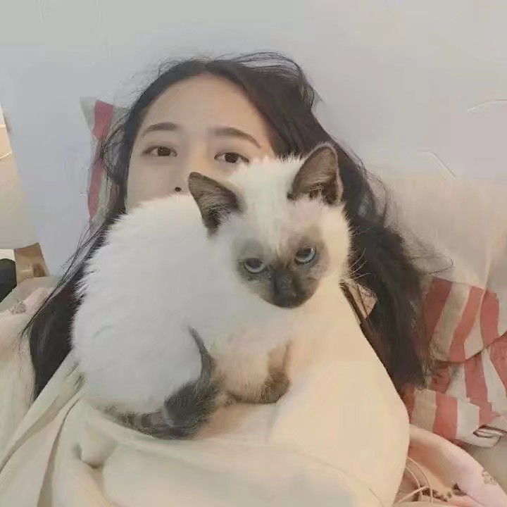 抱猫女头