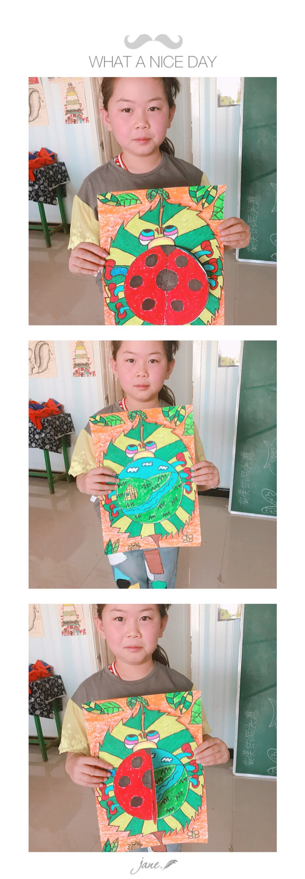 多变的七星瓢虫