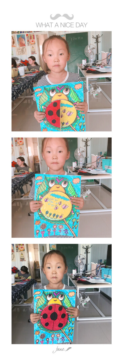 多变的七星瓢虫