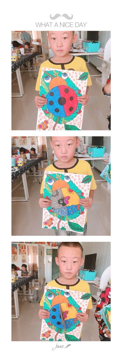 多变的七星瓢虫