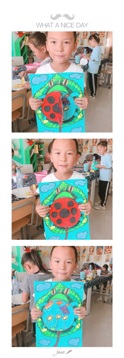 多变的七星瓢虫