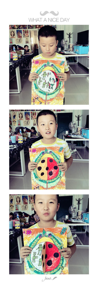 多变的七星瓢虫