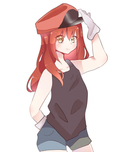 工作细胞-红细胞