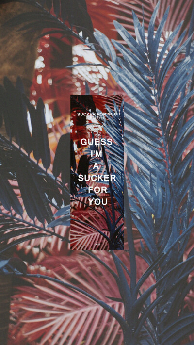 更新！！！！！！