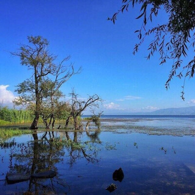 世界上最宽阔的东西是海洋，比海洋更宽阔的是天空，比天空更宽阔的是人的心灵。——雨果《悲惨世界》 ​​早上好 ​