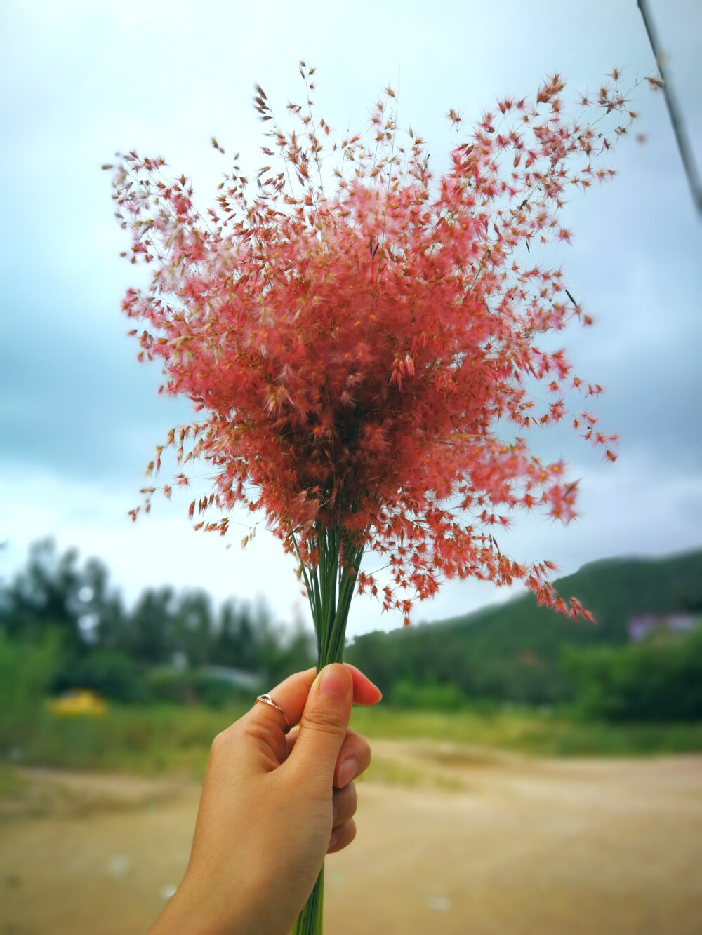 每一个细节都很美好
我们只是缺乏发现美的眼睛