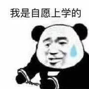 皮這一下十分開心