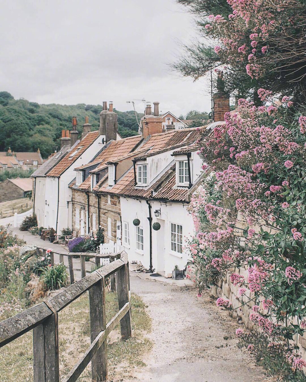 找一个安静属于自己的地方
不被叨扰