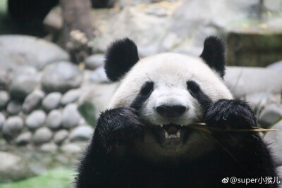 只能同时上传9张还是太少，希望以后慢慢升级咯~
