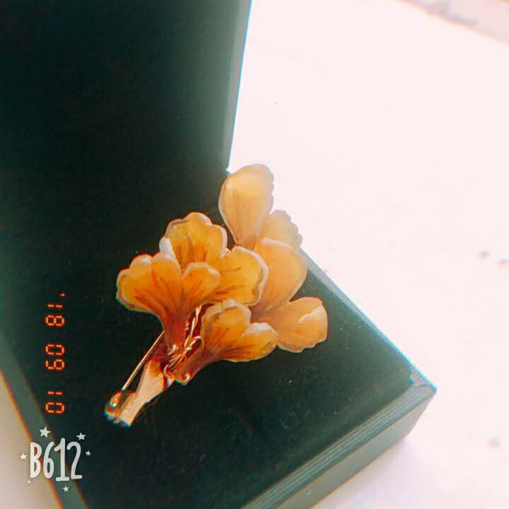 教师节礼物