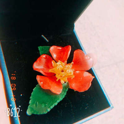 给你小花花