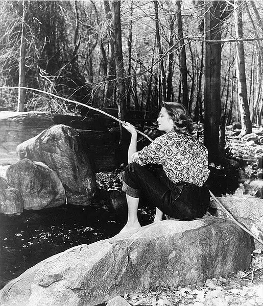 Grace Kelly fishes