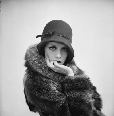 Twiggy