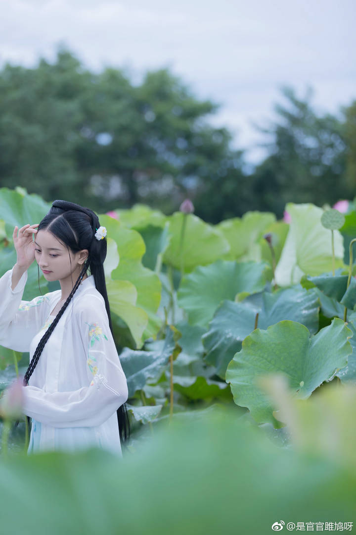 #汉服##云南约拍#
渌水净素月，月明白鹭飞。
郎听采菱女，一道夜歌归。
出镜：@是小小九呀
摄影后期：@是官官雎鸠呀
服装：@空谷记汉服 @洛云衣阁汉服工作室
妆造：@忱瑾子
同行：@沈氏芷妤 @忱瑾子
#用诗词表白##旧时光是个美人##湖北约拍,襄阳约拍,汉服约拍,唐城约拍#￼昆明约拍 #武汉约拍#