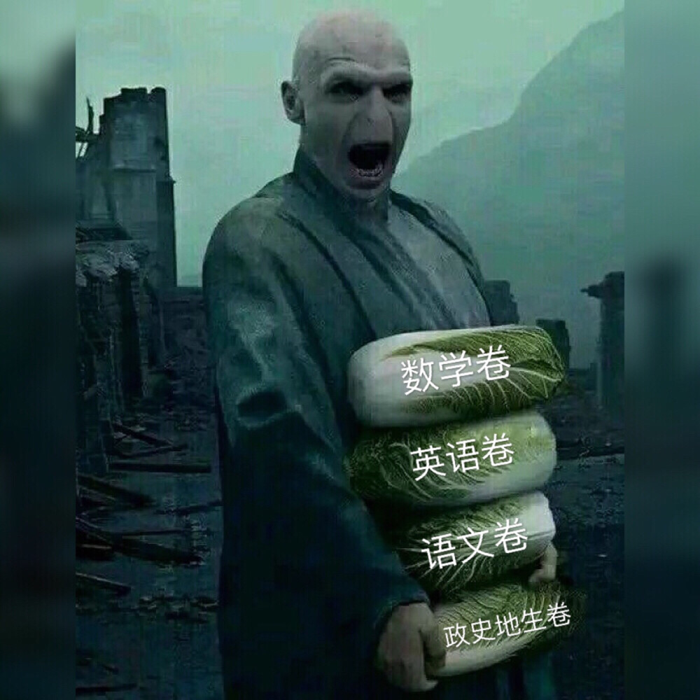 伏地魔脸红图图片