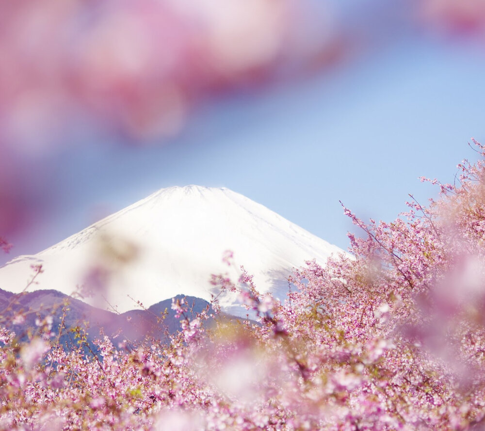 富士山