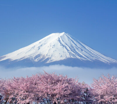 富士山