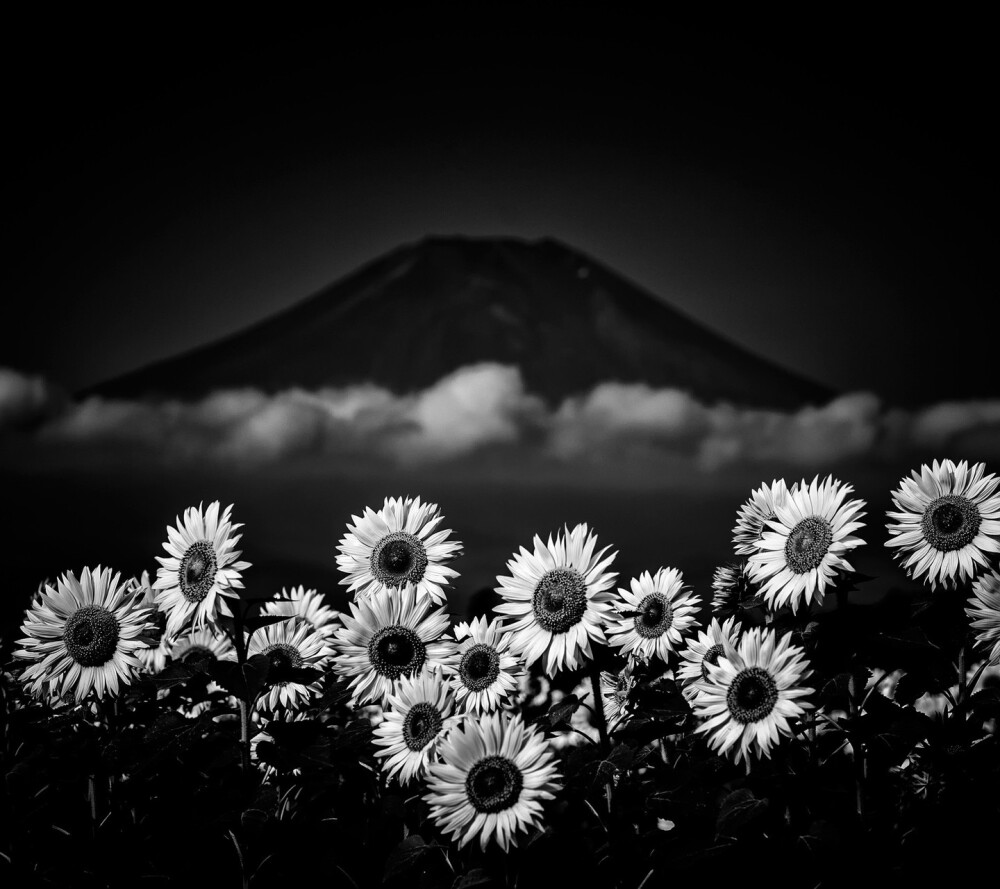 富士山