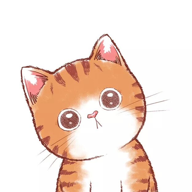 萌猫咪 木瓜 插画 By_魏大葱有木瓜