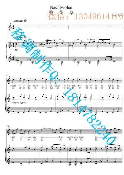 Nachtviolen香花草【原调-C】3页五线谱正谱