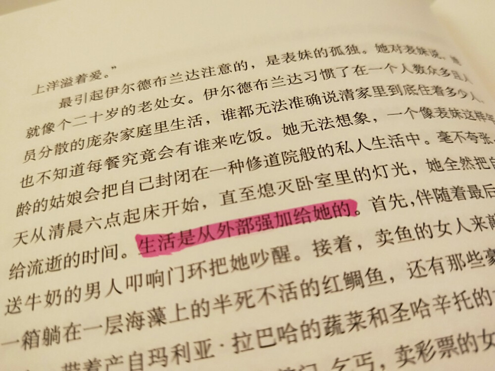 《霍乱时期的爱情》