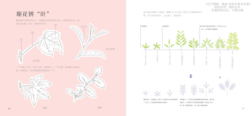 高精度笔触看得见，黑白+彩色，双倍体验，不同视角感受花卉之美。淘宝网链接http://dwz.cn/3oVdBxfO