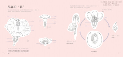 高精度笔触看得见，黑白+彩色，双倍体验，不同视角感受花卉之美。淘宝网链接http://dwz.cn/3oVdBxfO