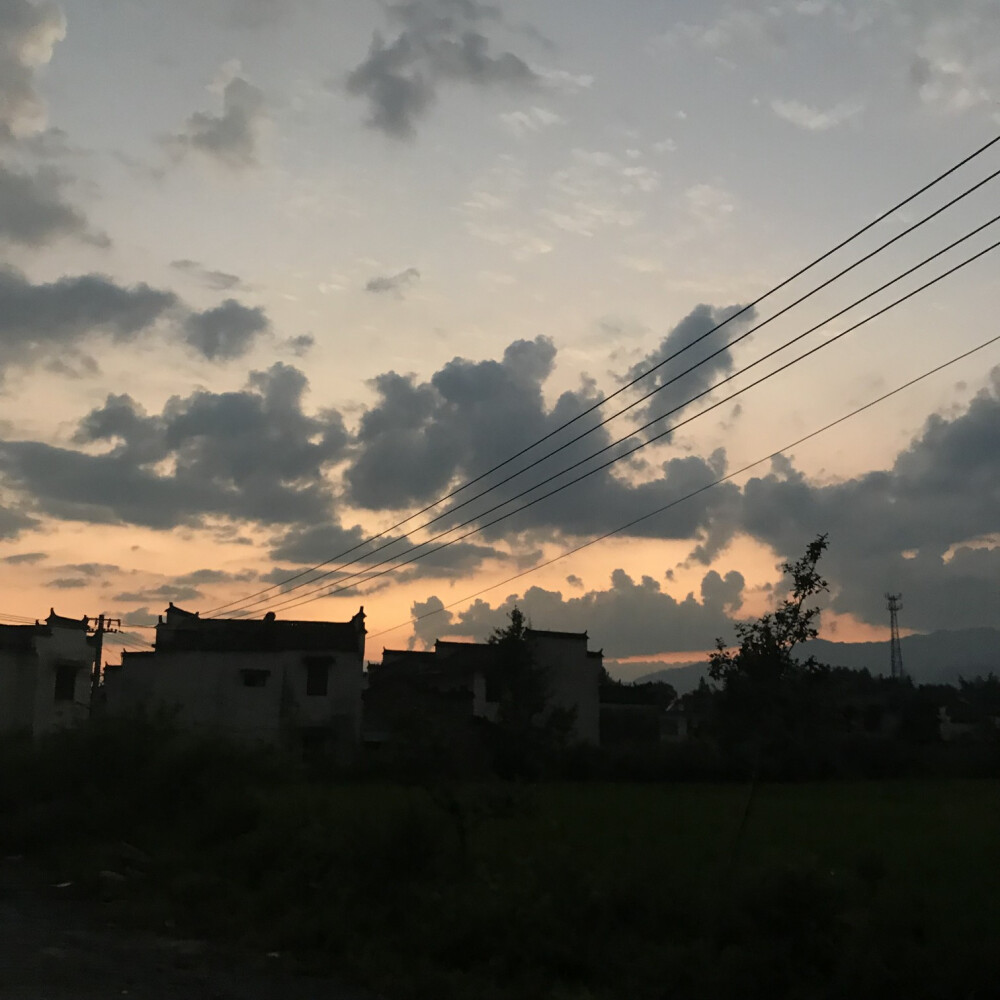 萌新瑟瑟发抖