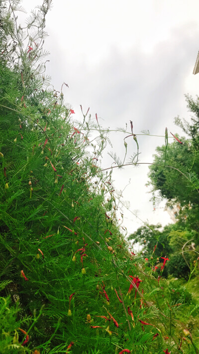 风景壁纸
天空壁纸
树木壁纸
唯美壁纸
简约壁纸