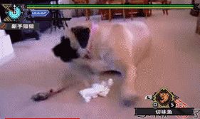 怪物猎人世界
表情包