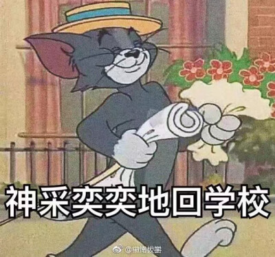 镇魂 开学 猫和老鼠 朱一龙