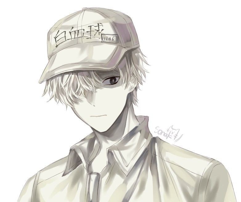 工作细胞白细胞