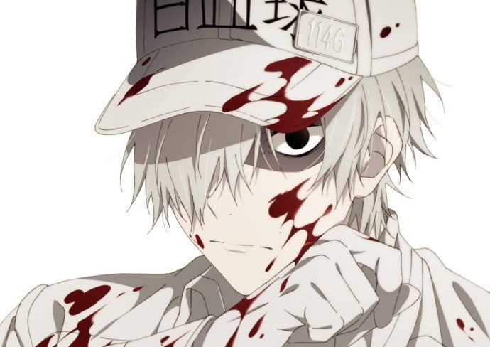 工作细胞白细胞