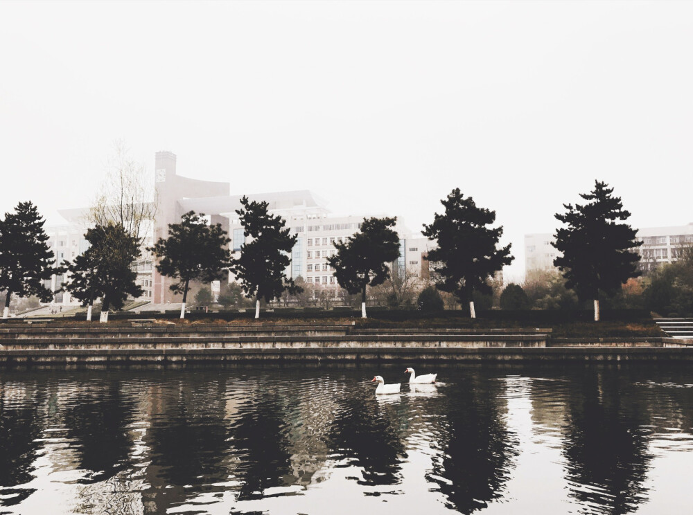 西北政法大学小湖边