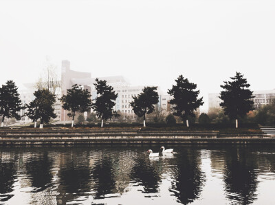 西北政法大学小湖边