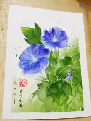 手绘花卉