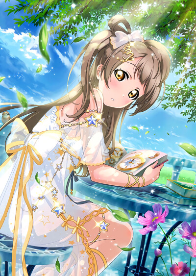 Lovelive！卡牌去框 南小鸟