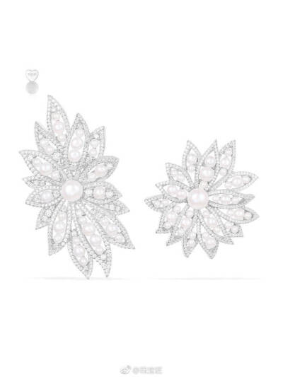 Apm-Monaco本月系列：LES FLEURS DIVINES、LES FLEURS ETERNELLES、LES FLEURS ANGELIQUES、LES FLEURS DES PAPILLONS