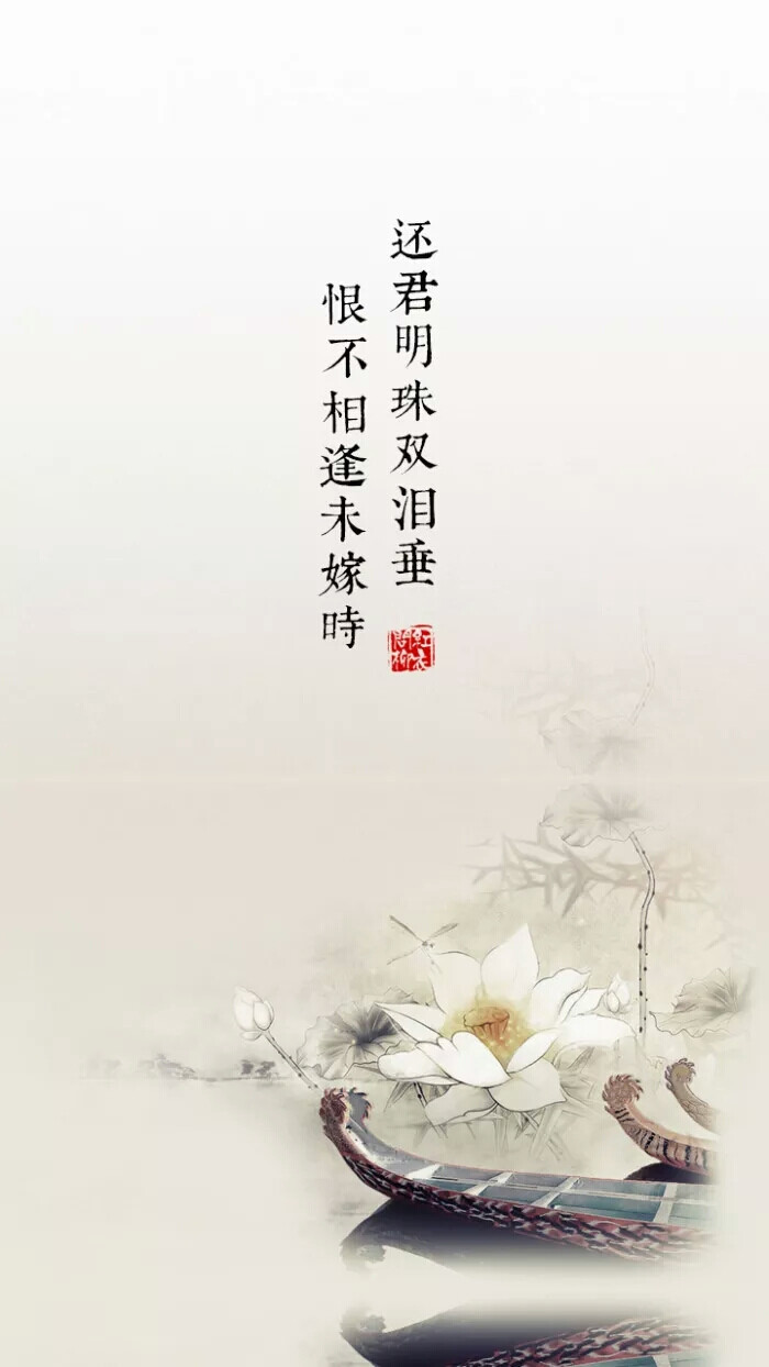 壁纸