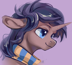 小马宝莉

图源:B站清水母鸡水母君