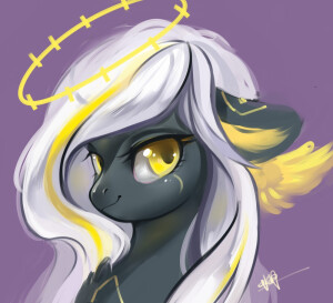 小马宝莉

图源:B站清水母鸡水母君