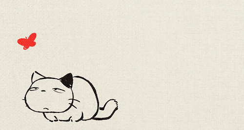 500_267gif 动态图 动图