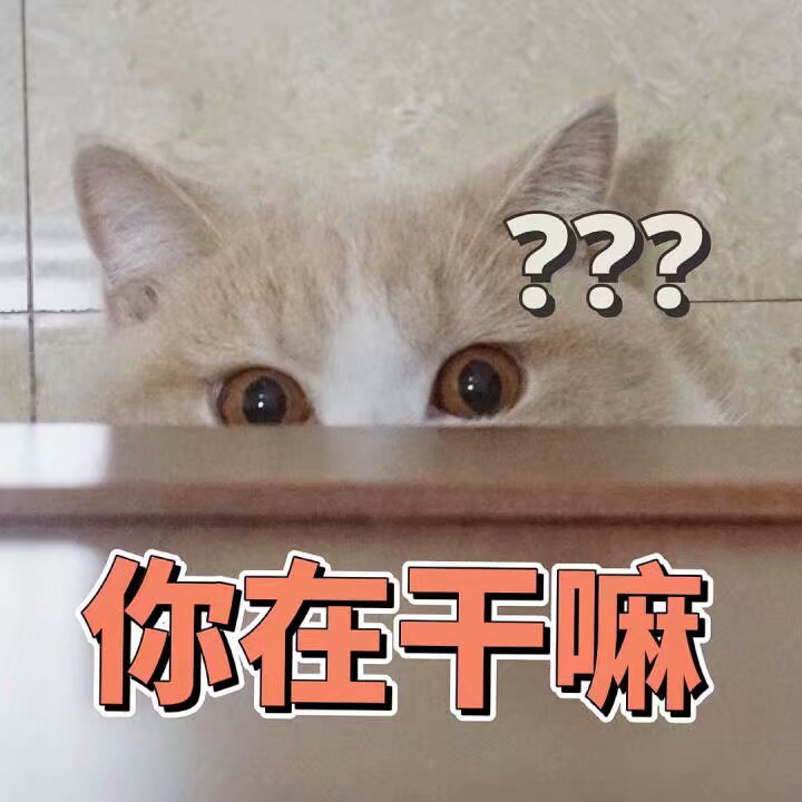 猫表情包可爱